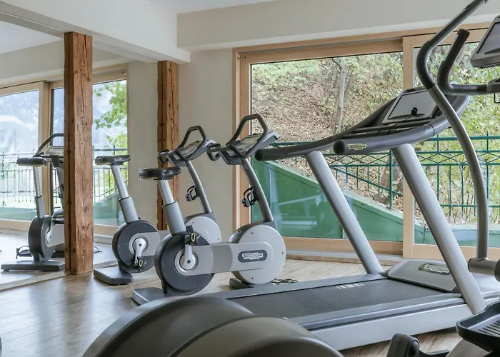 Otel Kerschdorfer - Wohlfuehlhotel Garni - Adults Only Kaltenbach